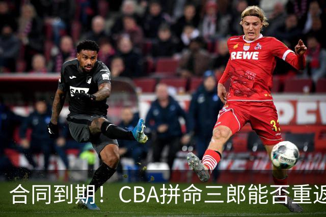 合同到期！CBA拼命三郎能否重返广东？期待辅佐徐杰、胡明轩